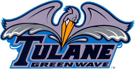 Tulane Green Wave 1998-Pres Alternate Logo v2 diy DTF decal sticker